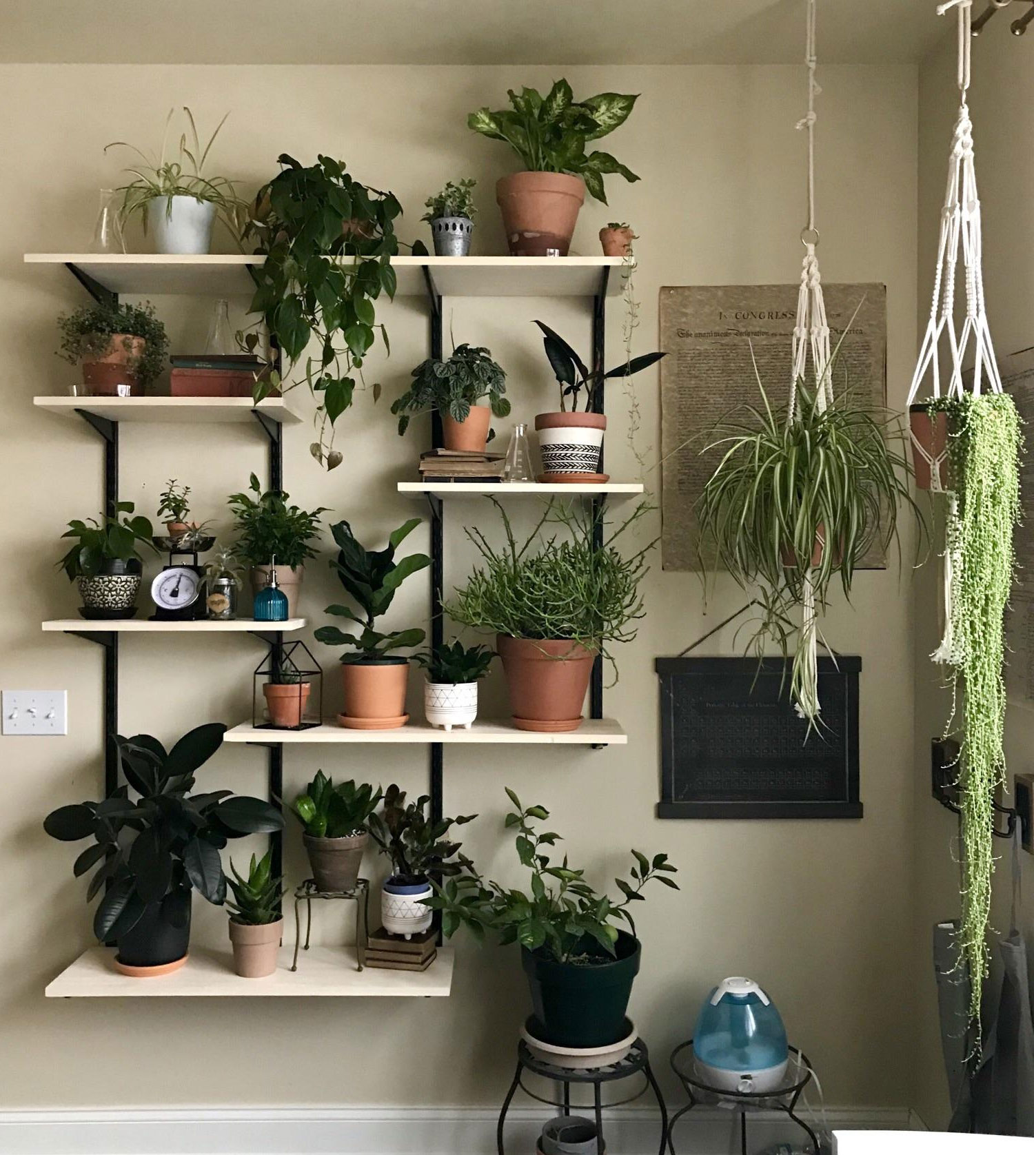 mini garden on the shelves