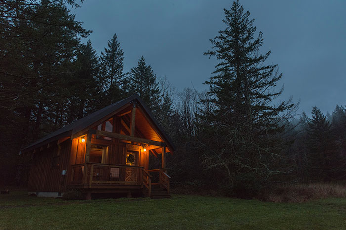 Lighted wooden cabin near pine tree.