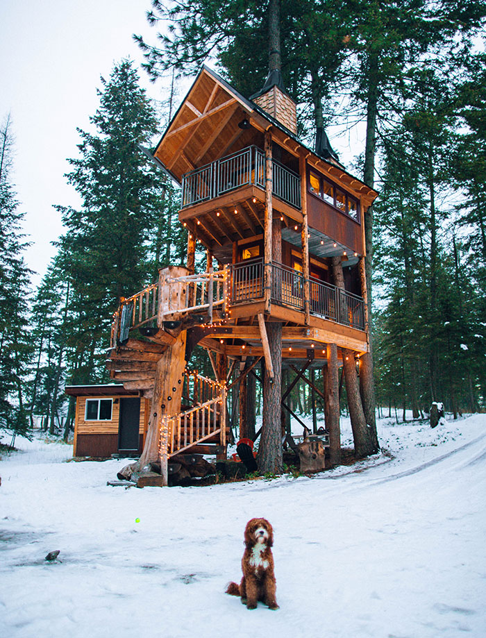 Treehouse in the woods during wintertime.
