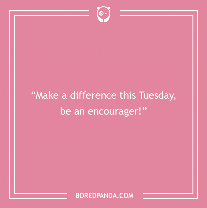 132 Fun Tuesday Quotes That Might Make Your Week A Bit Better