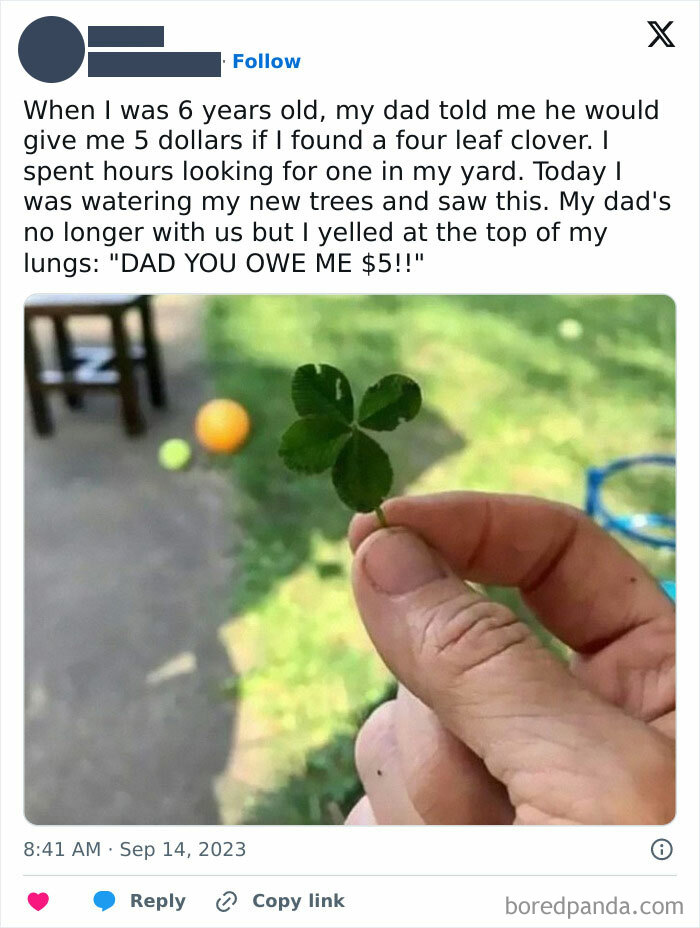 This Is So Wholesome