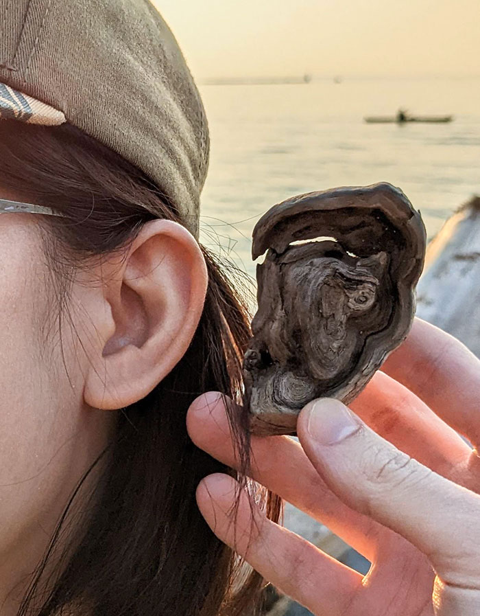 I Found An Ear-Shaped Wood Piece At Wreck Beach
