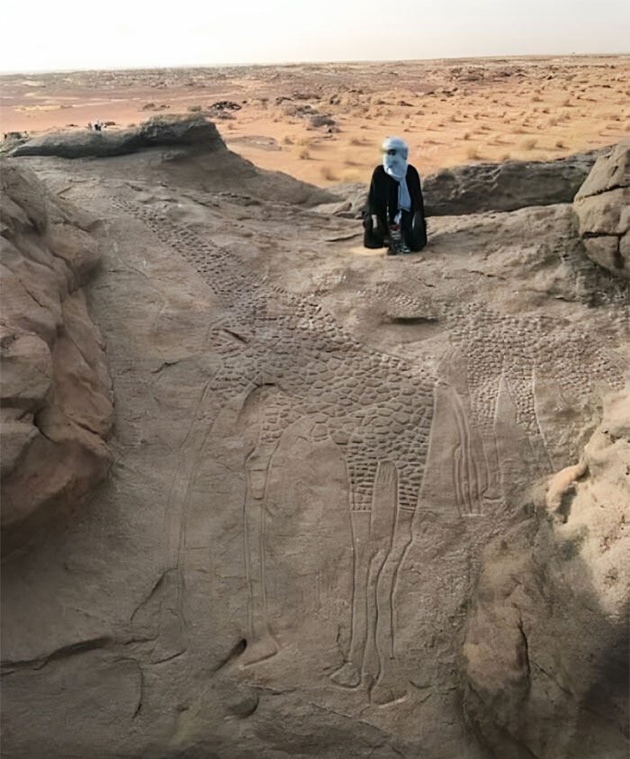 10,000-Year-Old Giraffe Engravings In The Sahara Desert