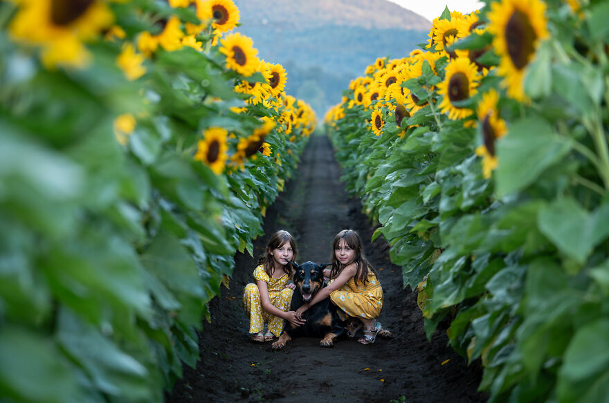 Two girls and a dog sitting among the sunflowers