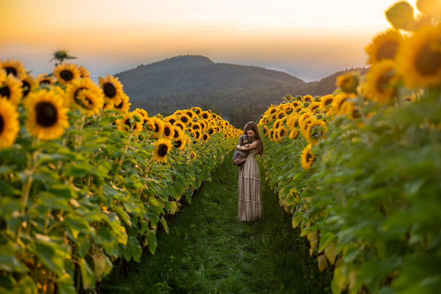 A woman holding a dog while standing in the field of sunflowers