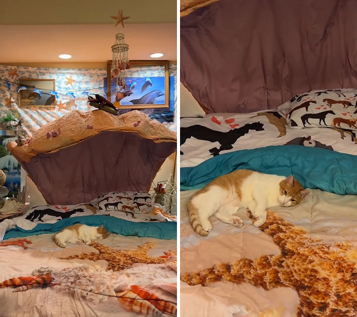 TikToker Gives A Tour Of Her Chaotic Bedroom And People Are Amazed