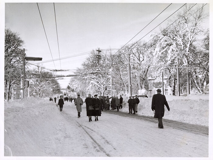 Walking To Work Along Spring Garden Road. Feb 1960
