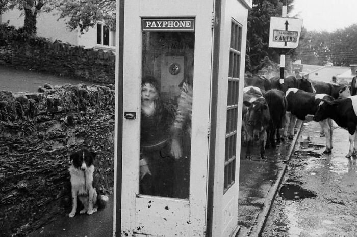 Photograph By Martin Parr, From His Book Bad Weather, 1982, Kenmare Fair, Kenmare, Ireland