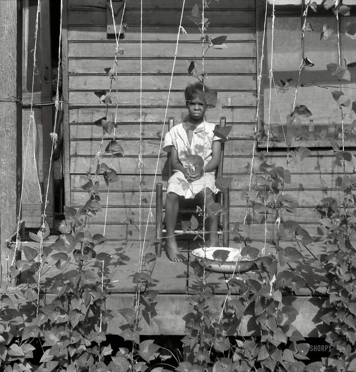 June 1938. "Butter Bean Vines Across The Porch. Negro Quarter In Memphis, Tennessee."