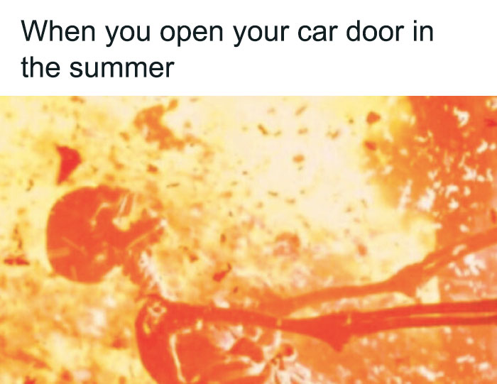 summer weather meme 