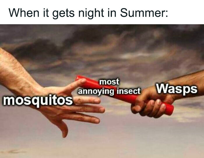 Mosquitos and wasps in summer meme 