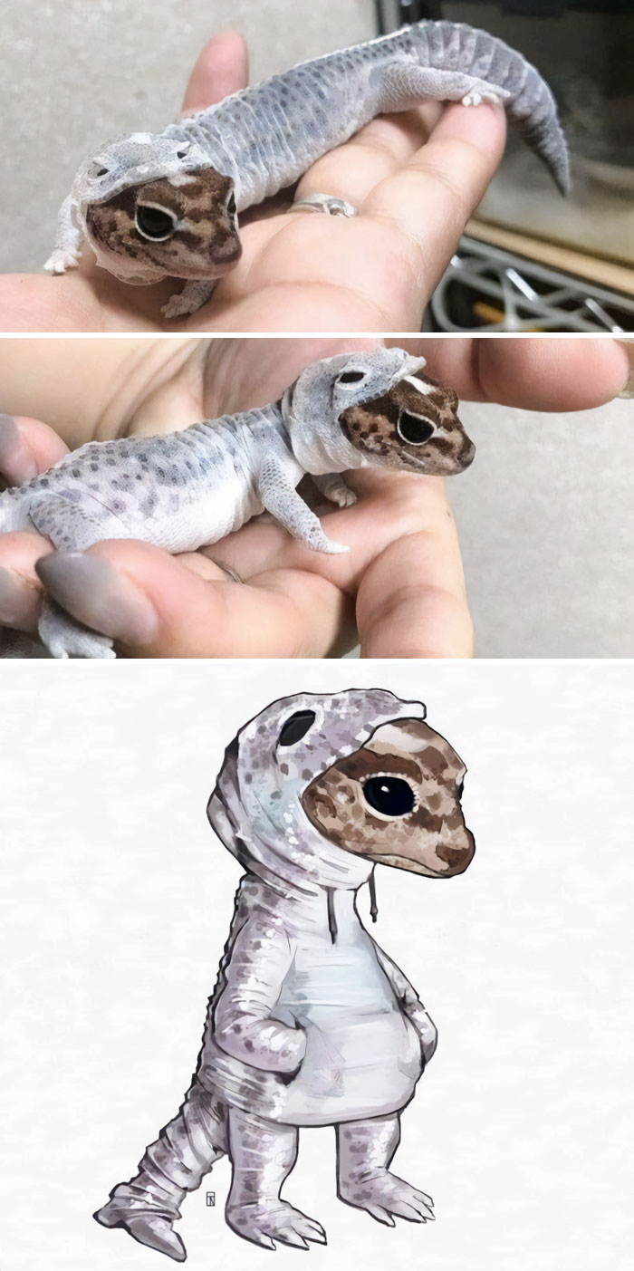 Gecko cambiando la piel