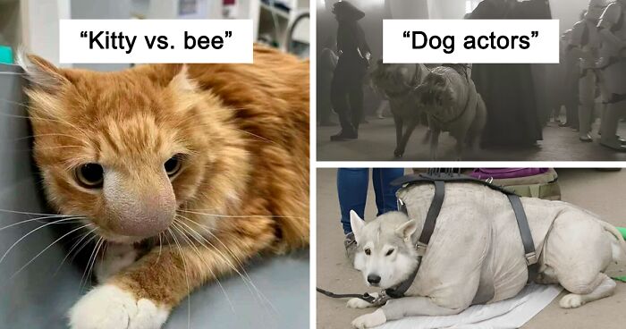 35 Pics That Might Make You Say “Awww” Before You Realize How Disturbing They Are