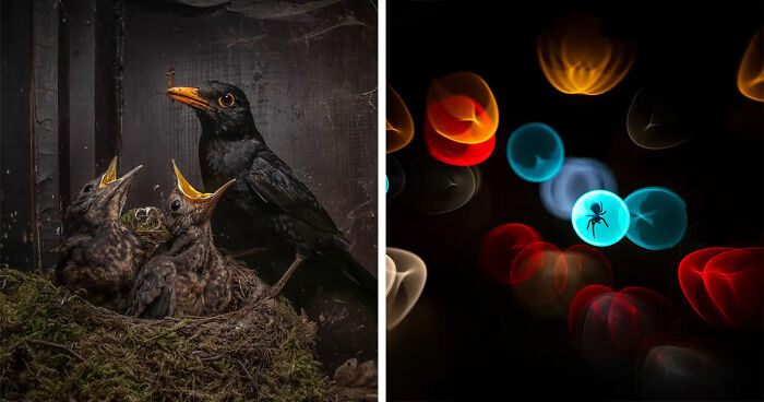 Prepare To Be Amazed By This Year’s Nature Photography Competition Winning Photos (18 Photos)