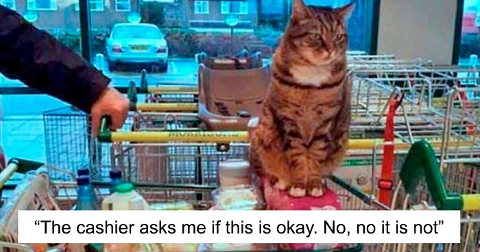 Guy Gets Praised Online For Not Letting Woman With Full Cart Of Stuff Check Out First