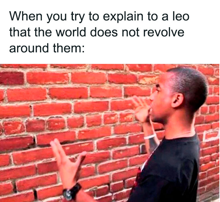 Trying to explain to a Leo that the world does not revolve around them is like talking to a wall meme