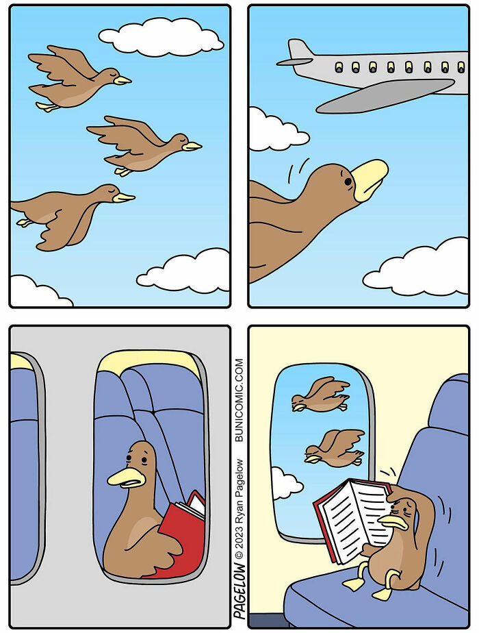 A Comic About A Bird On A Plane