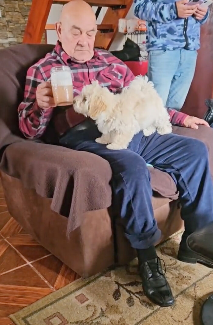 Granddaughter Gives Her 96 Y.O. Grandpa A Puppy, Sees His Remarkable Transformation