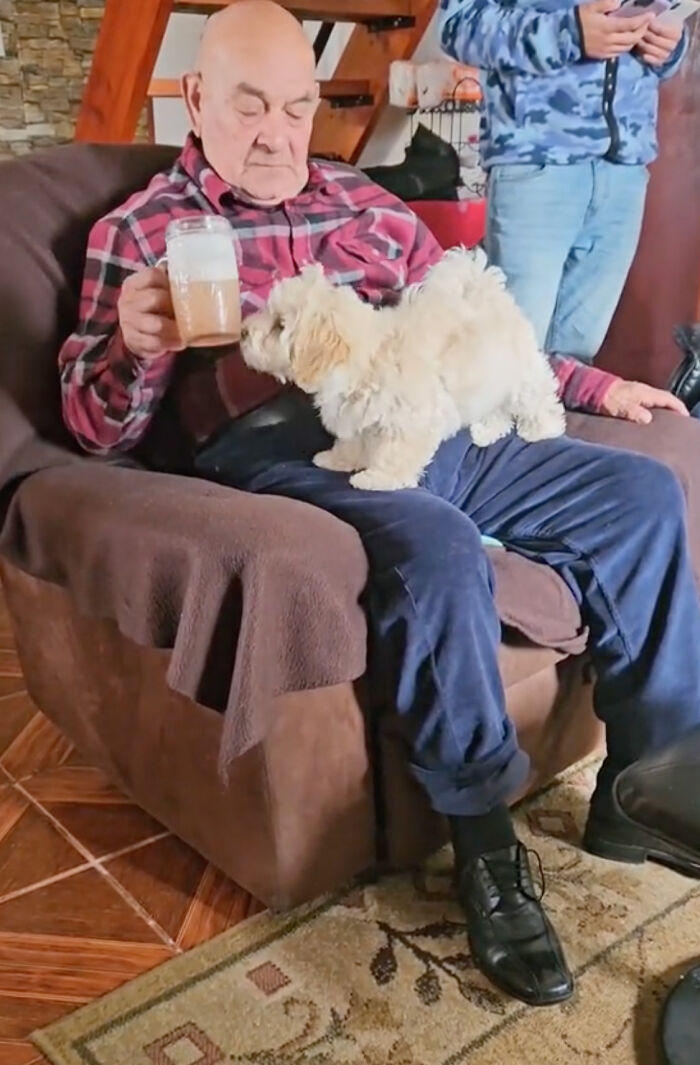 Granddaughter Gives Her 96 Y.O. Grandpa A Puppy, Sees His Remarkable Transformation Granddaughter Gives Her 96 Y.O. Grandpa A Puppy, Sees His Remarkable Transformation