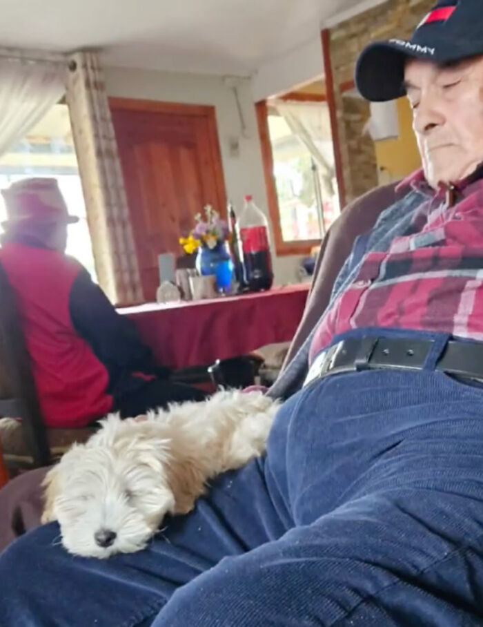 Granddaughter Gives Her 96 Y.O. Grandpa A Puppy, Sees His Remarkable Transformation Granddaughter Gives Her 96 Y.O. Grandpa A Puppy, Sees His Remarkable Transformation