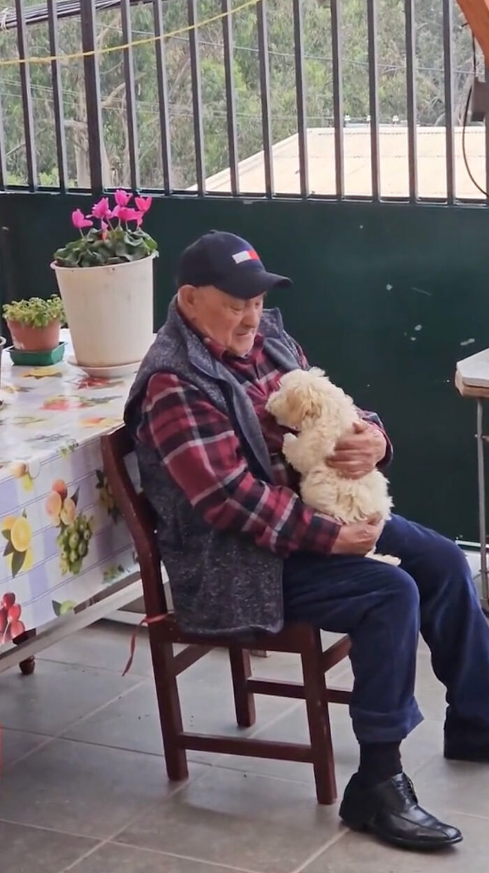Granddaughter Gives Her 96 Y.O. Grandpa A Puppy, Sees His Remarkable Transformation Granddaughter Gives Her 96 Y.O. Grandpa A Puppy, Sees His Remarkable Transformation