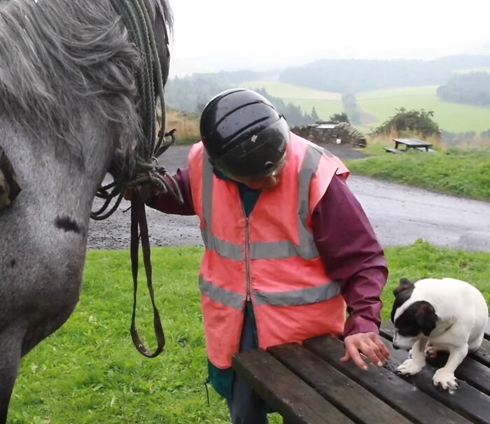 82 Y.O. Hiker Just Returned From Epic 600-Mile Horseback Journey With Her 10 Y.O. Dog In Tow 82 Y.O. Hiker Just Returned From Epic 600-Mile Horseback Journey With Her 10 Y.O. Dog In Tow