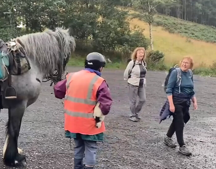 82 Y.O. Hiker Just Returned From Epic 600-Mile Horseback Journey With Her 10 Y.O. Dog In Tow