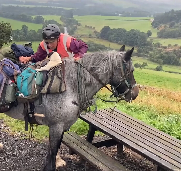 82 Y.O. Hiker Just Returned From Epic 600-Mile Horseback Journey With Her 10 Y.O. Dog In Tow 82 Y.O. Hiker Just Returned From Epic 600-Mile Horseback Journey With Her 10 Y.O. Dog In Tow