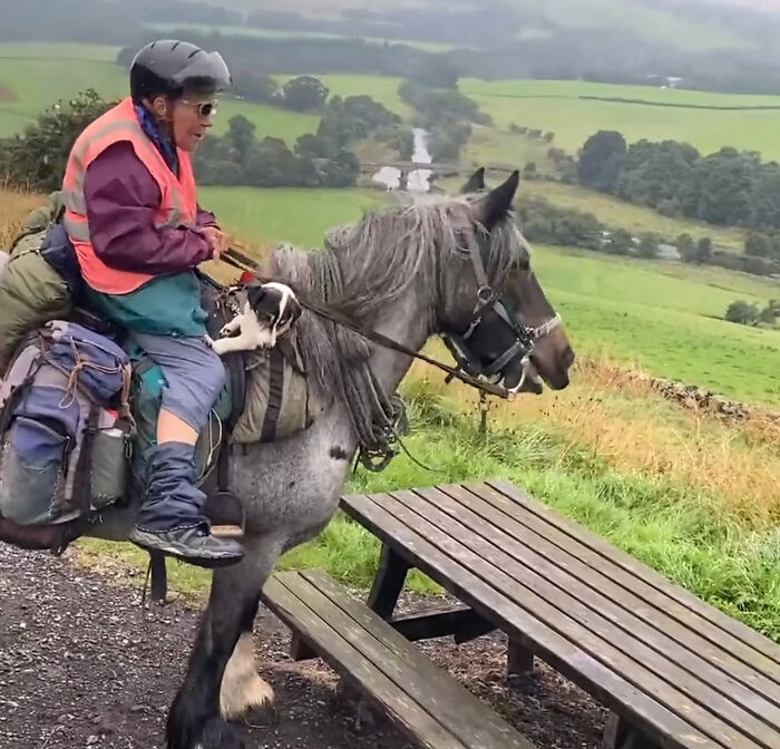 82 Y.O. Hiker Just Returned From Epic 600-Mile Horseback Journey With Her 10 Y.O. Dog In Tow 82 Y.O. Hiker Just Returned From Epic 600-Mile Horseback Journey With Her 10 Y.O. Dog In Tow