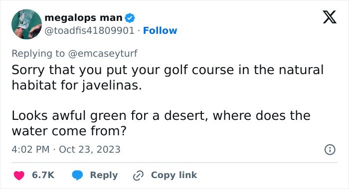 Javelinas Have No Mercy On A Golf Course In Arizona And Folks Online Are Cheering Them On
