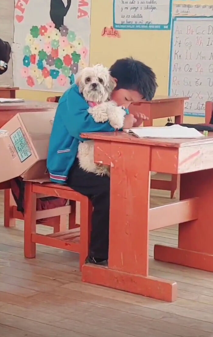Student Going Through Hardships Asks Teacher If He Can Bring His Dog To School