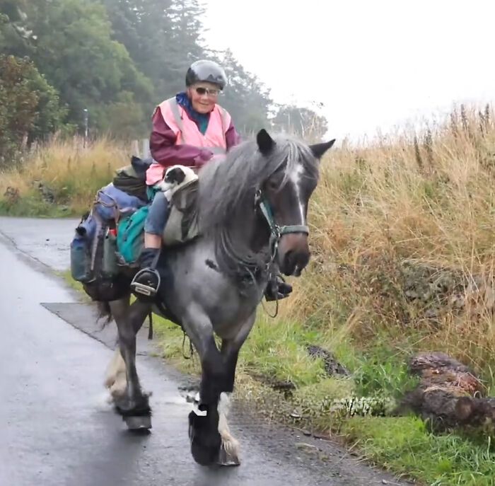 82 Y.O. Hiker Just Returned From Epic 600-Mile Horseback Journey With Her 10 Y.O. Dog In Tow 82 Y.O. Hiker Just Returned From Epic 600-Mile Horseback Journey With Her 10 Y.O. Dog In Tow