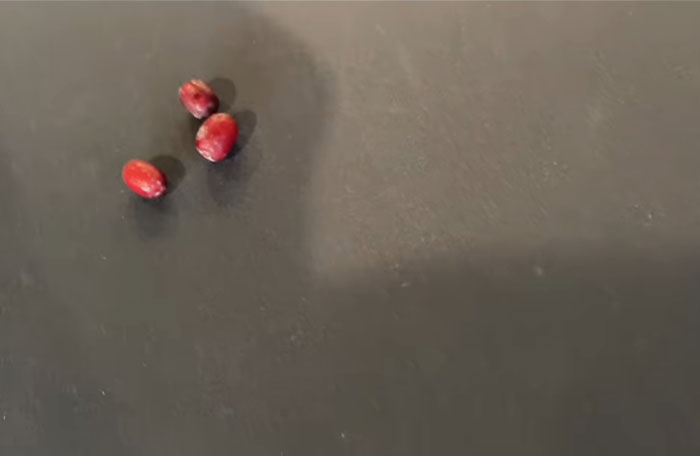 Red beads scattered on a dark surface related to Matthew Perry's mysterious Batman references online. Red beads scattered on a dark surface related to Matthew Perry's mysterious Batman references online.