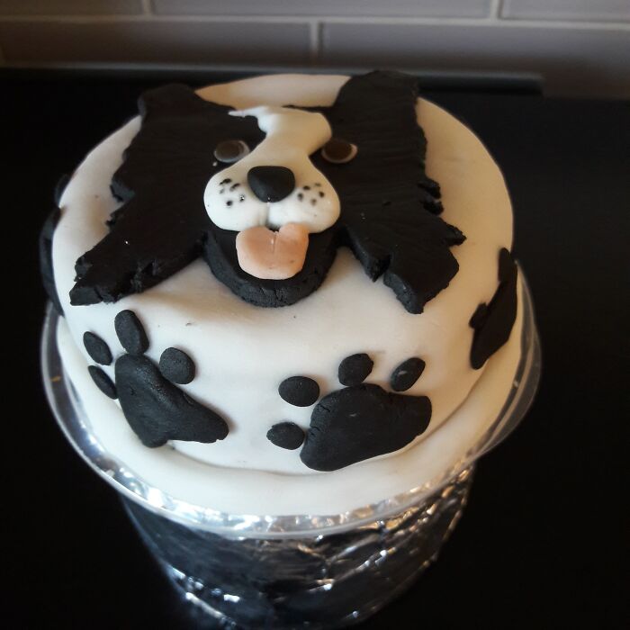My Friend's Birthday Cake. She Owns A Collie