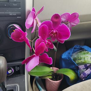 michelemedina104 avatar