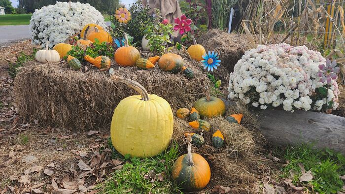 I Captured Our Festive Neighbor's Decorations For Halloween