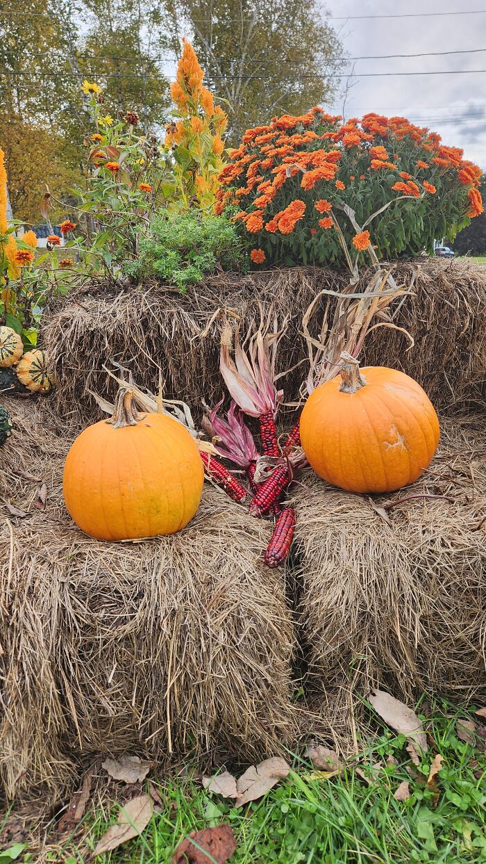 I Captured Our Festive Neighbor's Decorations For Halloween