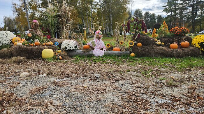 I Captured Our Festive Neighbor's Decorations For Halloween I Captured Our Festive Neighbor's Decorations For Halloween