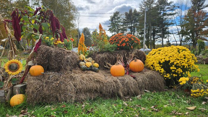 I Captured Our Festive Neighbor's Decorations For Halloween I Captured Our Festive Neighbor's Decorations For Halloween