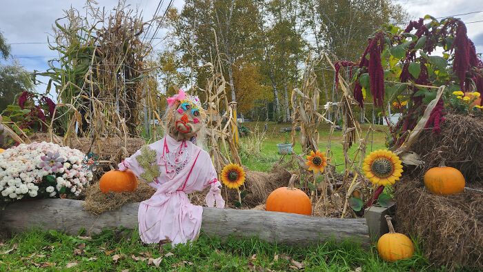 I Captured Our Festive Neighbor's Decorations For Halloween I Captured Our Festive Neighbor's Decorations For Halloween