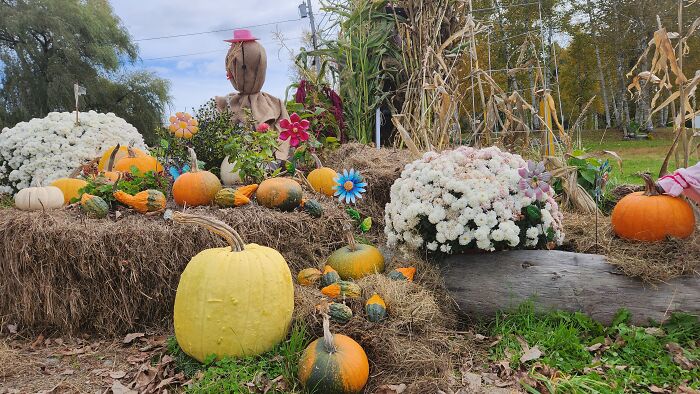 I Captured Our Festive Neighbor's Decorations For Halloween