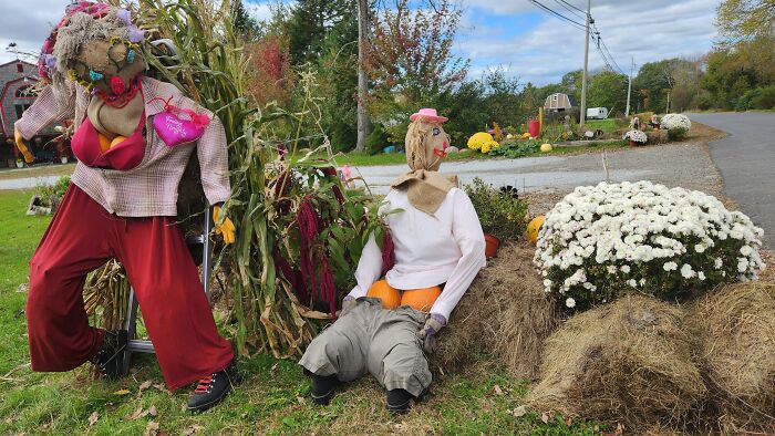 I Captured Our Festive Neighbor's Decorations For Halloween I Captured Our Festive Neighbor's Decorations For Halloween