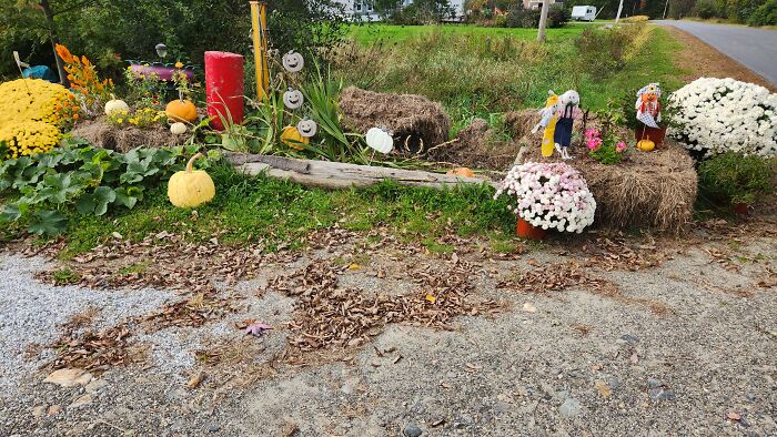 I Captured Our Festive Neighbor's Decorations For Halloween I Captured Our Festive Neighbor's Decorations For Halloween