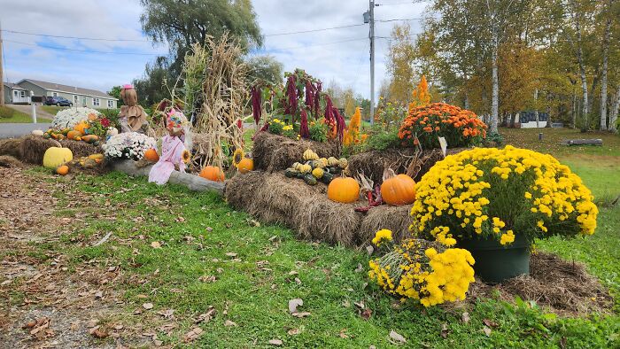 I Captured Our Festive Neighbor's Decorations For Halloween