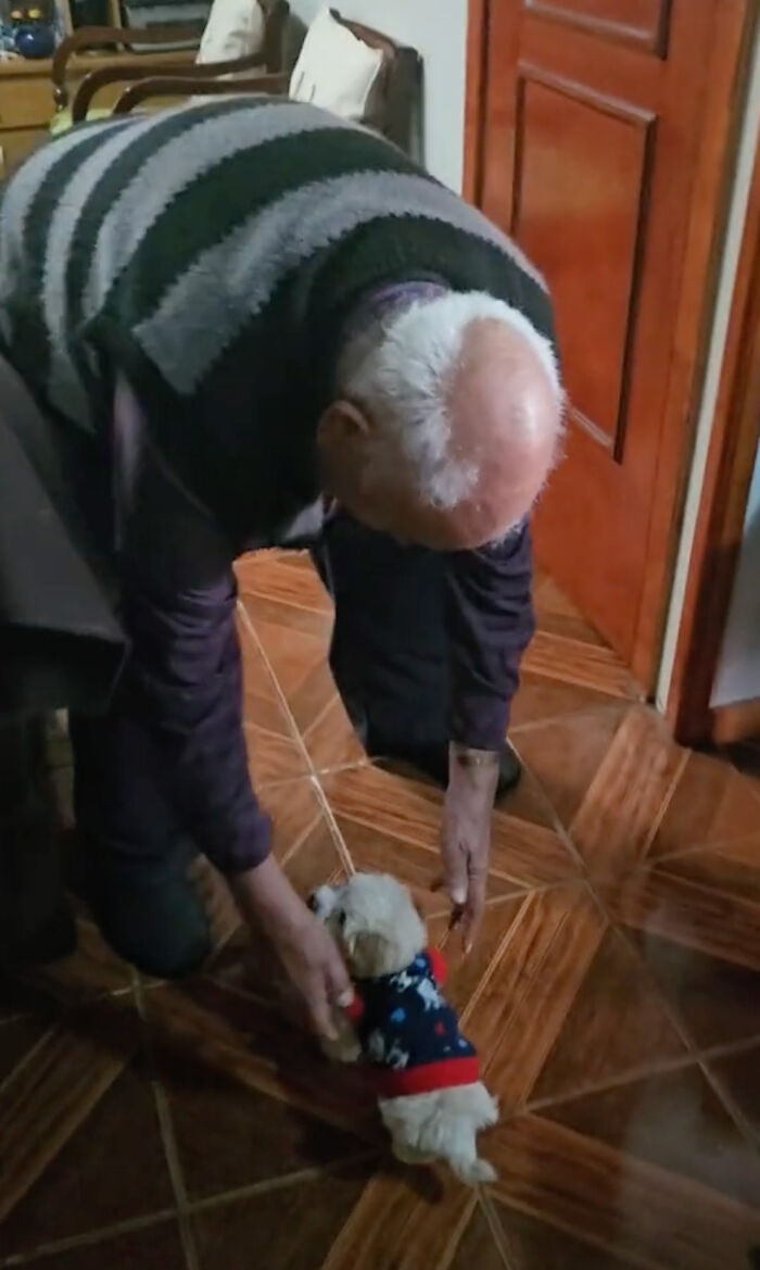 Granddaughter Gives Her 96 Y.O. Grandpa A Puppy, Sees His Remarkable Transformation Granddaughter Gives Her 96 Y.O. Grandpa A Puppy, Sees His Remarkable Transformation
