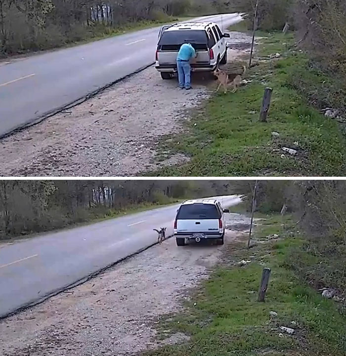 Human Leaves His Dog On Side Of The Road