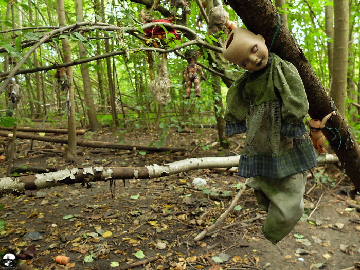 Creepy Dolls In The Forest Somewhere In Germany