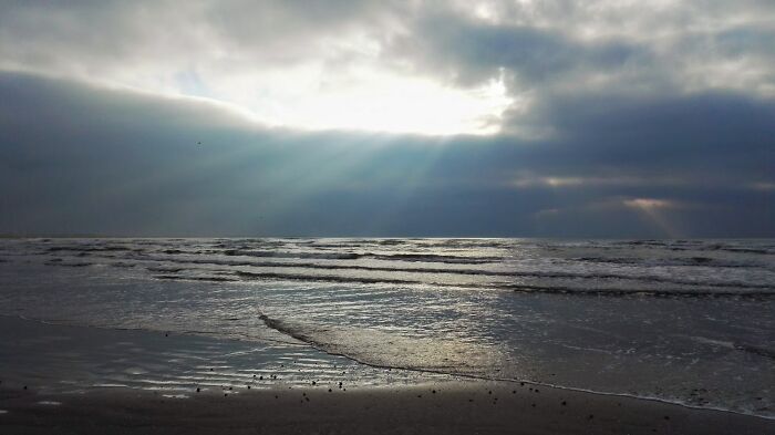 Let There Be Light. Black Sea Shore, September 2022