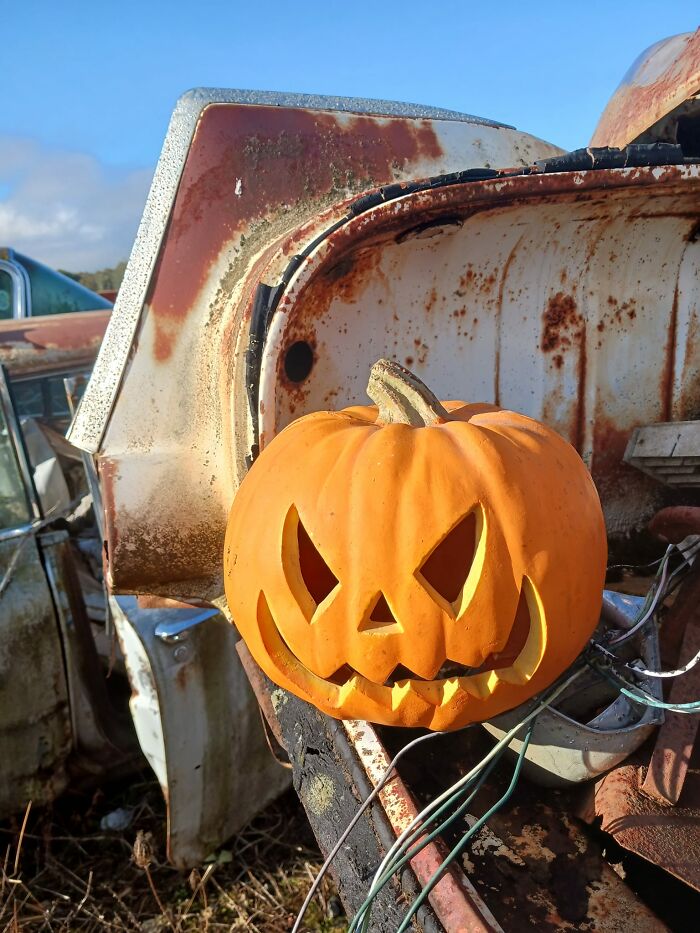 Jack And The Ghost Of The Wrecking Yard