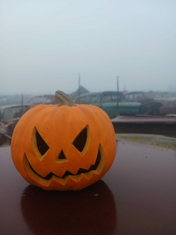 Jack And The Ghost Of The Wrecking Yard